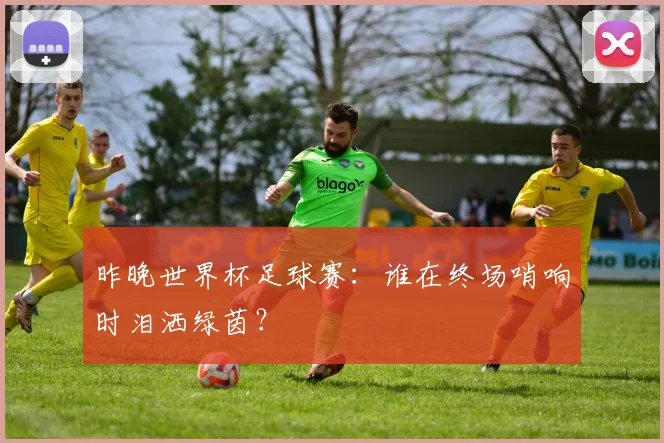 昨晚世界杯足球赛：谁在终场哨响时泪洒绿茵？