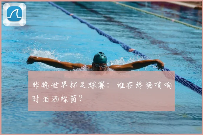 昨晚世界杯足球赛：谁在终场哨响时泪洒绿茵？