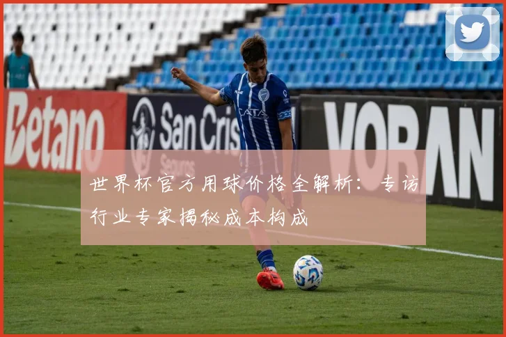 世界杯官方用球价格全解析：专访行业专家揭秘成本构成
