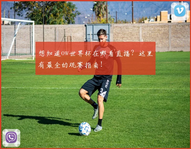 想知道ow世界杯在哪看直播？这里有最全的观赛指南！