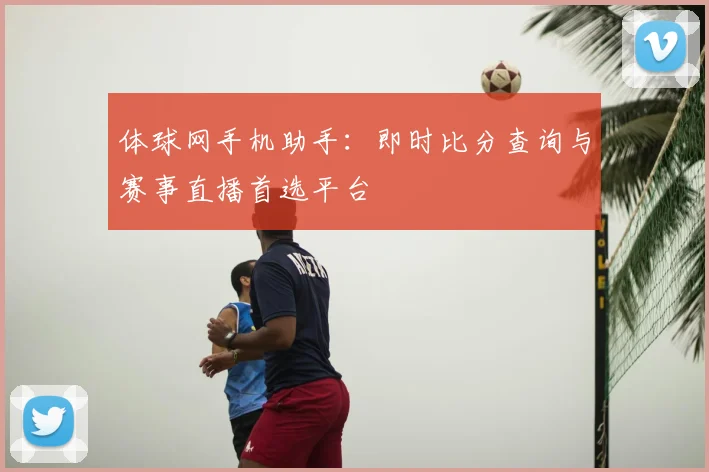 体球网手机助手：即时比分查询与赛事直播首选平台