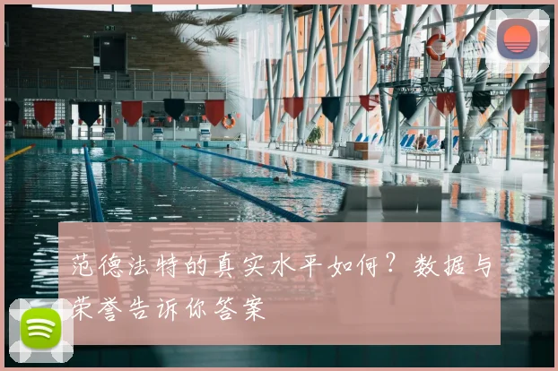 范德法特的真实水平如何？数据与荣誉告诉你答案